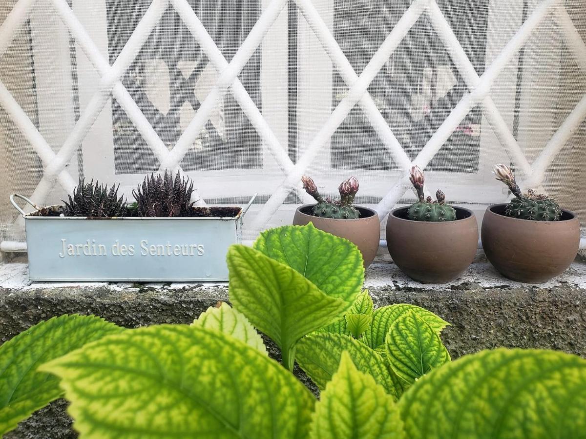 Appartamento La Torretta Porcari Ngoại thất bức ảnh